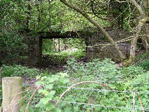 Bridge 155
