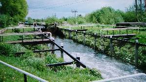 turf-sided lock
