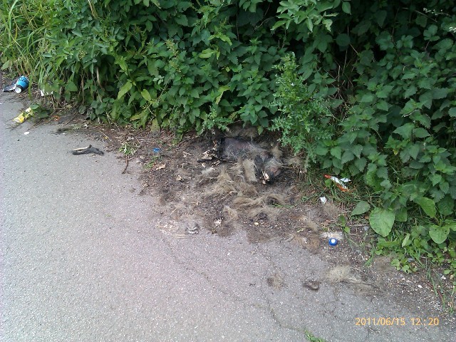 buncefield lane