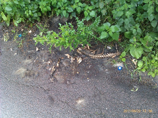 buncefield lane