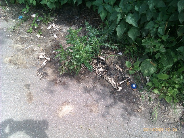 buncefield lane
